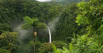 Green Trees Resort Munnar