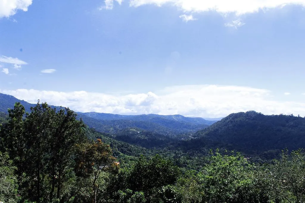 Green Trees Resort Munnar