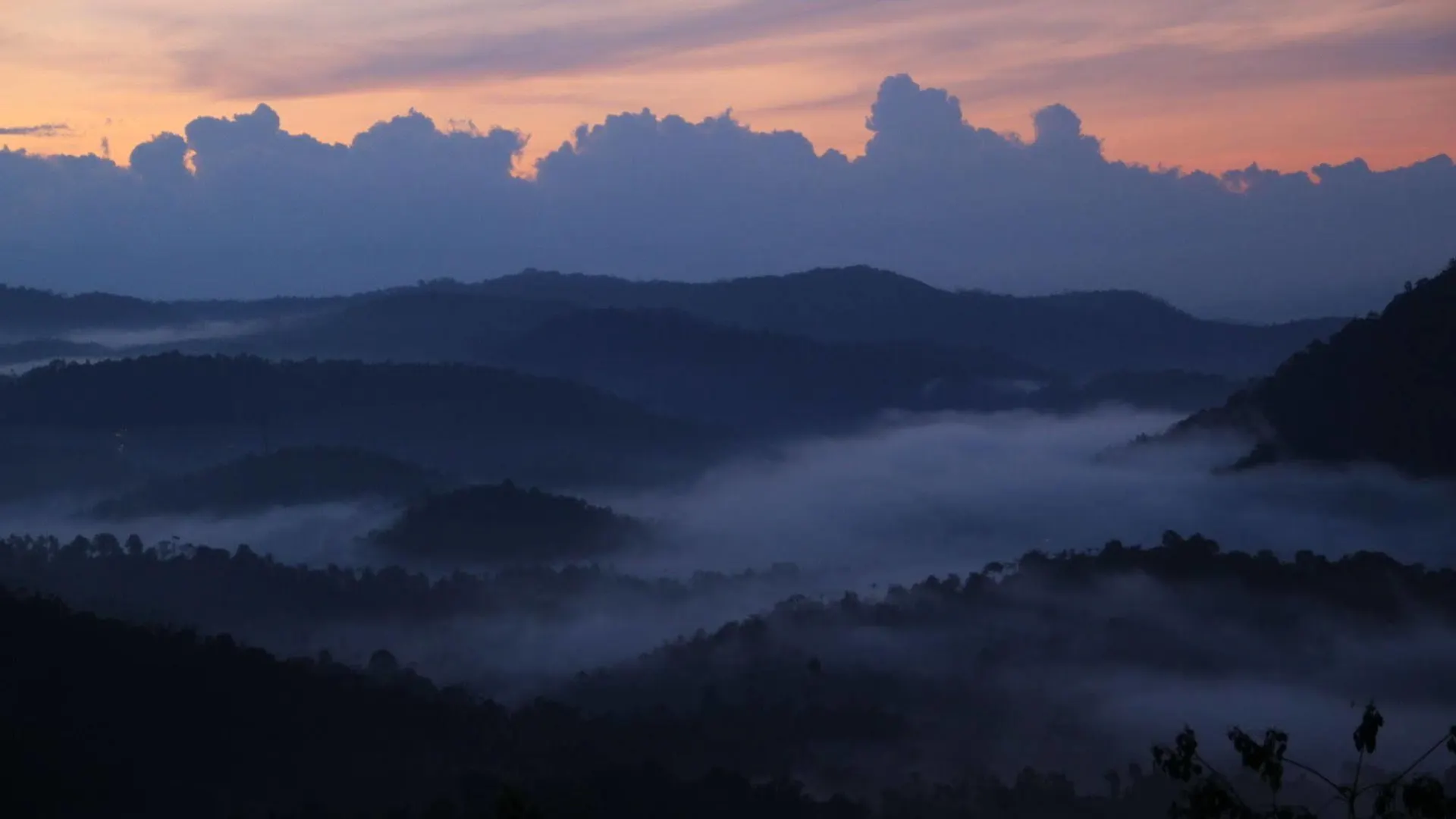 Green Trees Resort Munnar