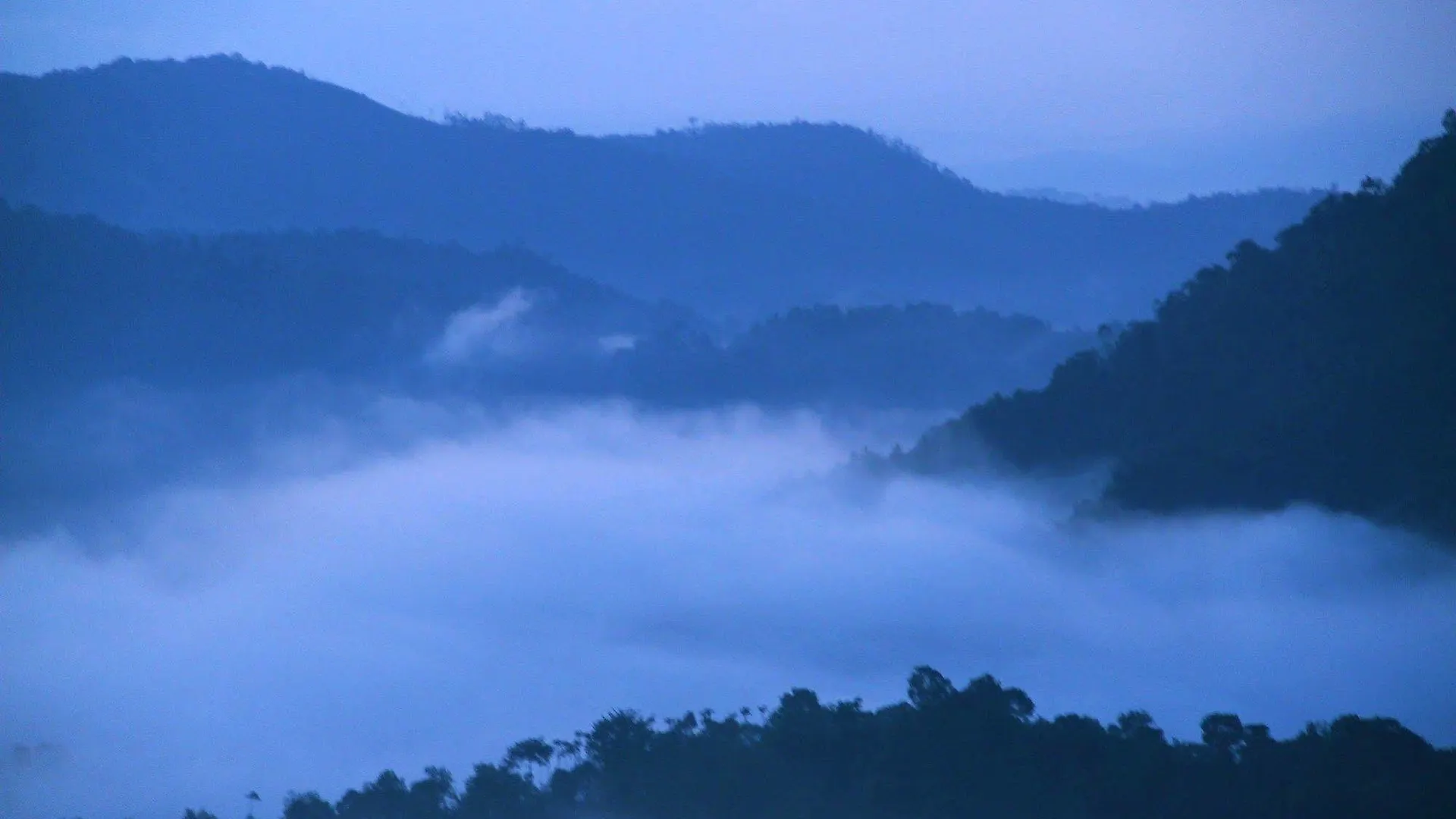Green Trees Resort Munnar