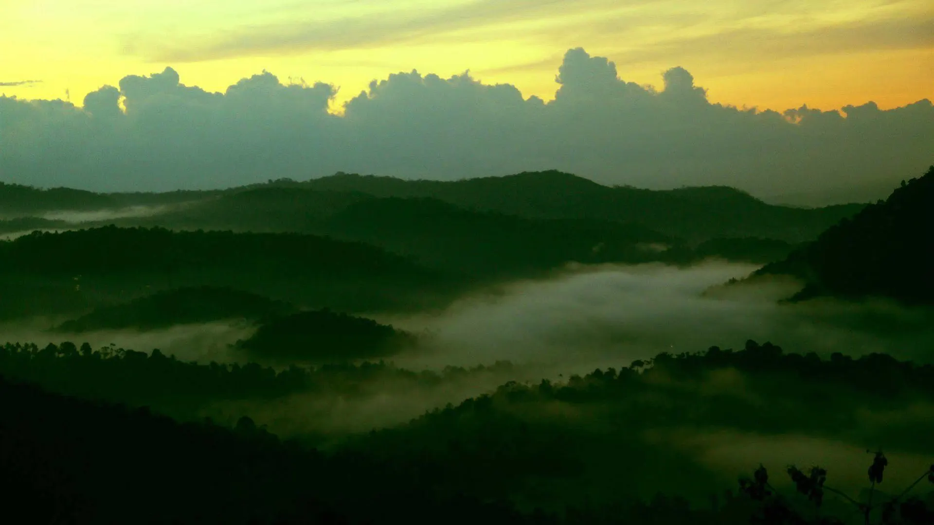 Green Trees Resort Munnar
